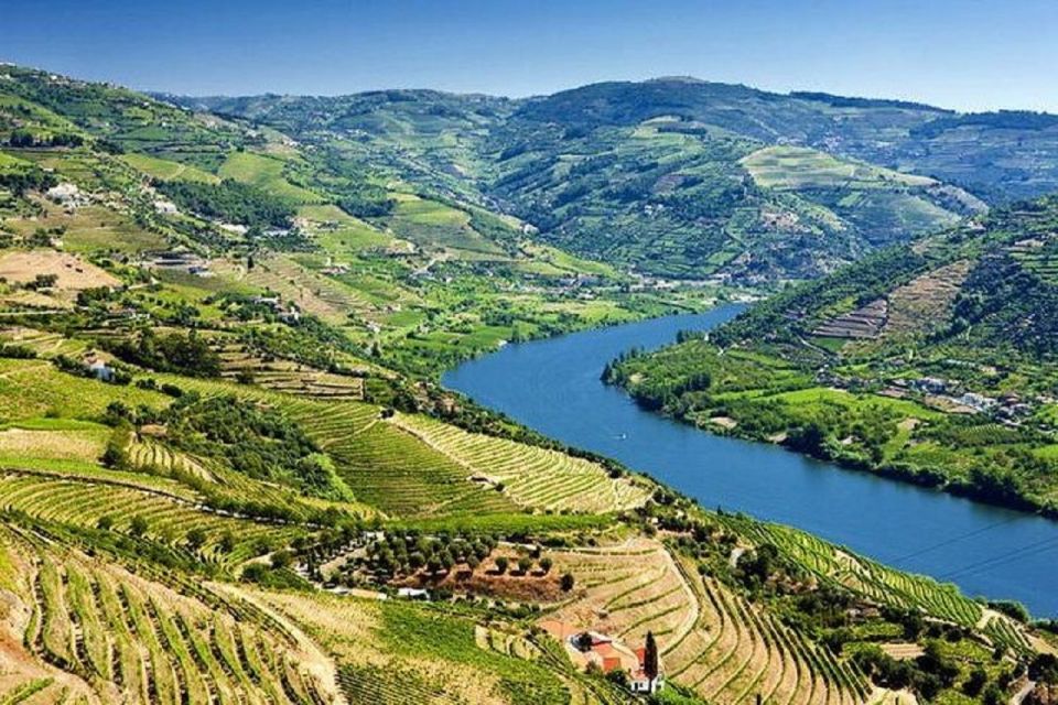 Douro Valley: Full-Day Private Tour From Porto - Customer Testimonial