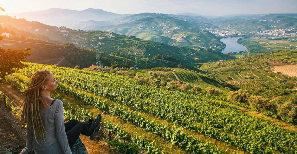 Douro Valley: Full-Day Private Wine Tour With Lunch - Pickup and Duration