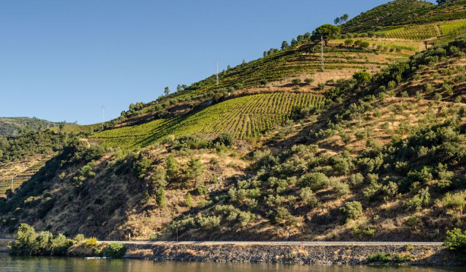 Douro Valley Private Tour With 2 Wine Tastings - Hassle-Free Logistics and Inclusions