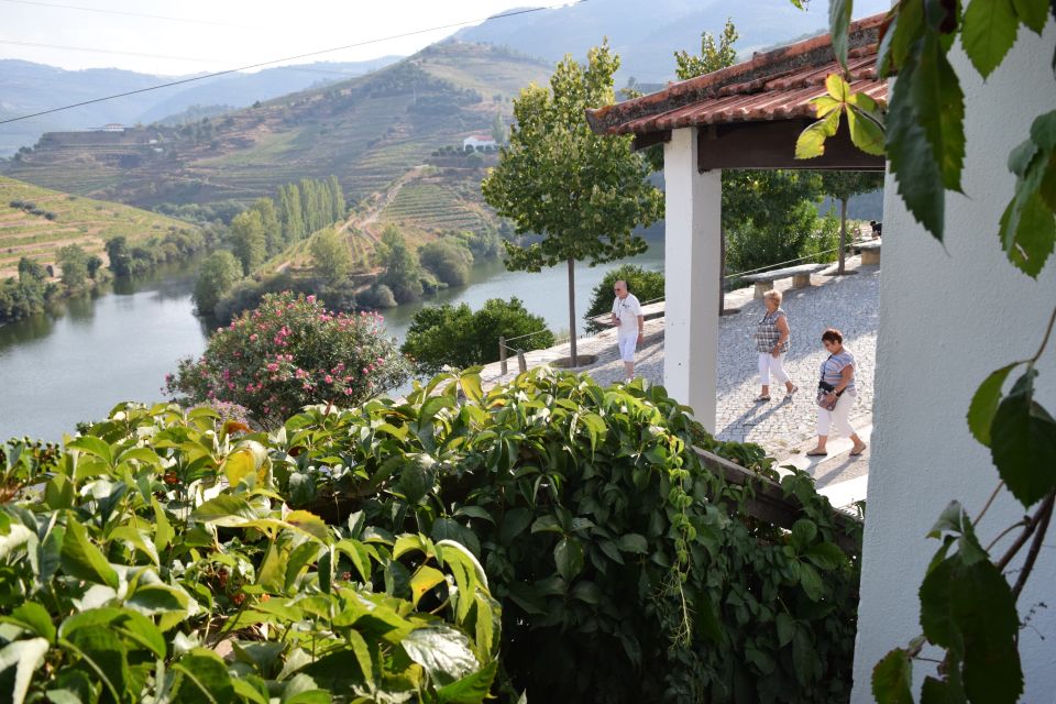 Douro Valley: Winery Tour at Quinta Do Tedo and Tastings - Tour Highlights and Organic Vineyards