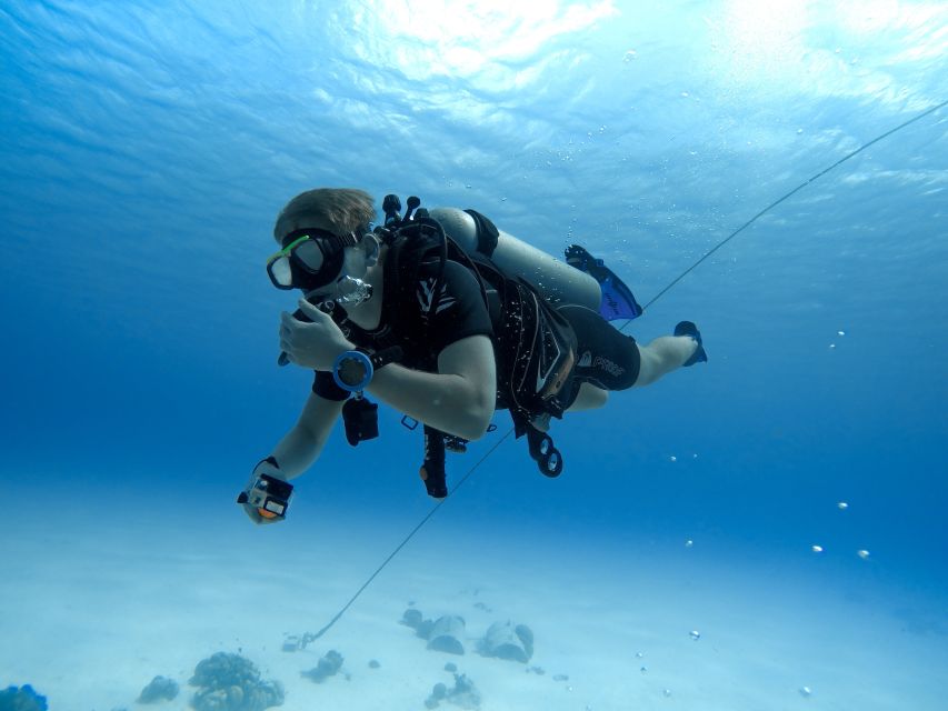 DSD Discover Scuba Diving for a Beginner Orcertified - Free Cancellation Policy