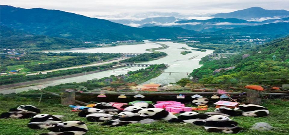 Dujiangyan Panda Base and Irrigation System Park Day Tour - Booking and Payment