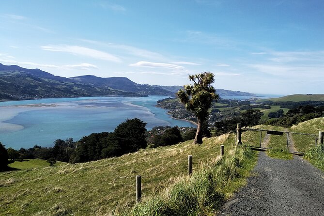 Dunedin City, Wildlife and Larnach Castle - Feedback and Clarifications