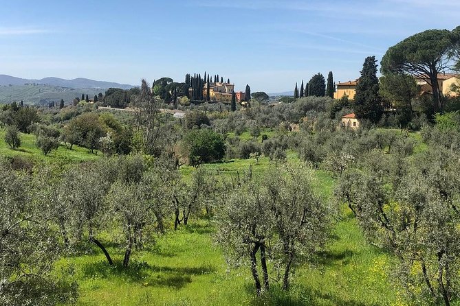 E-Bike Florence Tuscany Ride With Vineyard Visit - Common questions