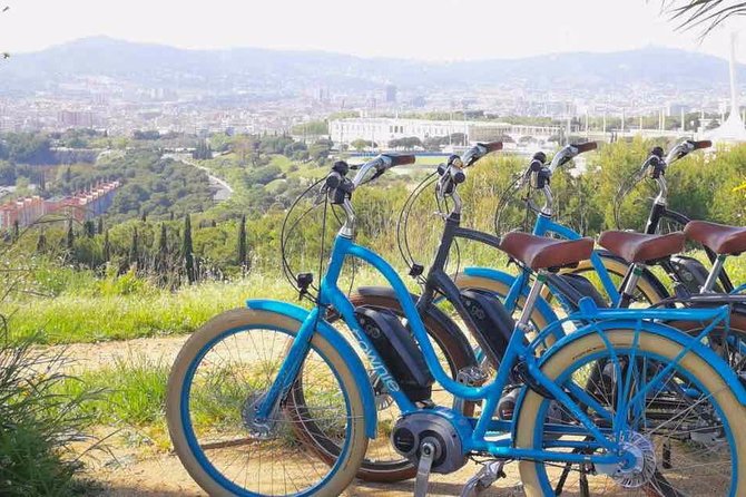 E-Bike Tour in Barcelona With English Guide - Guest Concerns and Host Feedback