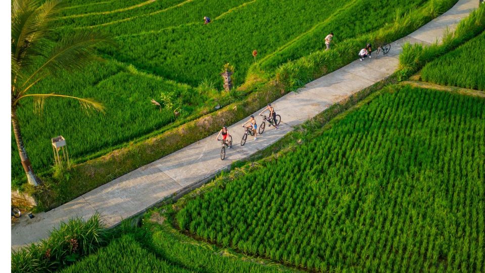 E-Bike: Ubud Rice Terraces & Traditional Villages Cycling - Eco-Friendly Adventure