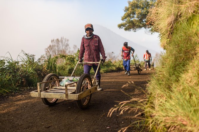 East Java 3-Day Tour: Ijen Crater (Kawah Ijen) and Mt. Bromo (Mar ) - Tour Highlights