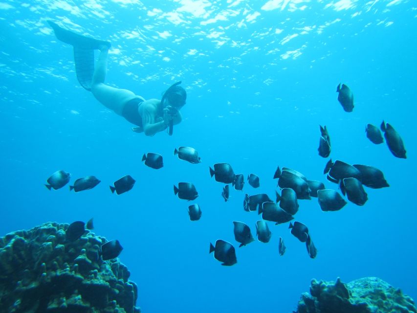 Easter Island: Snorqueling Tour on Coral Reefs - Last Words