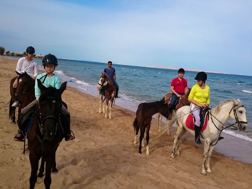 El Gouna: Desert & Sea Horse Riding With Swimming Optional - Swimming Options During the Ride