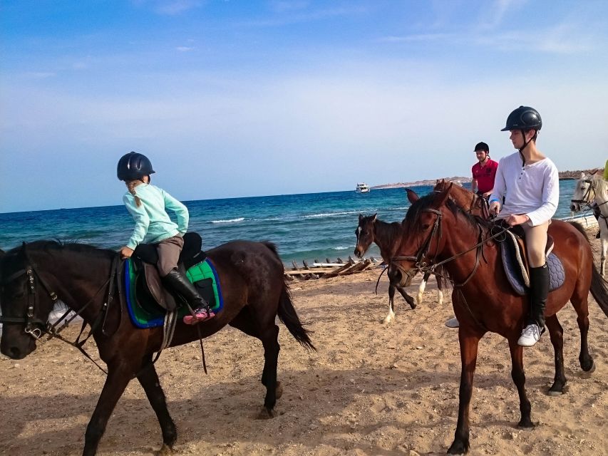 El Gouna: Desert & Sea Horse Riding With Swimming Optional - Activity Duration
