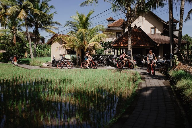 Electric Bike Tour in Ubud - Safety Measures