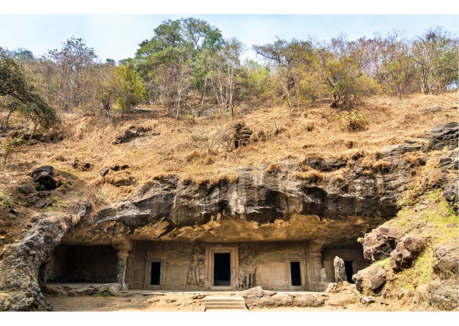 Elephanta Caves Excursion (Guided Half Day Sightseeing Tour) - Common questions