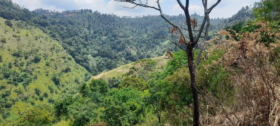 Ella Jungle Trail W Tush - Local Snack Delights