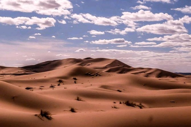 Erg Chebbi Dunes Overnight With Berber Tent, Camel Ride, Meals (Mar ) - Common questions
