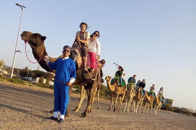Essaouira Dromedary Camel or Horse Ride - Traveler Logistics