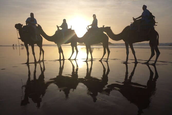 Essaouira Private Camel Ride (1 Hour). - Important Directions