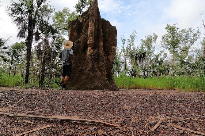 ETHICAL ADVENTURES - 1 Day Premium Litchfield Tour, Max 10 Guests - User Feedback and Recommendations