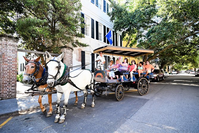 Evening Horse-Drawn Carriage Tour of Downtown Charleston - Last Words