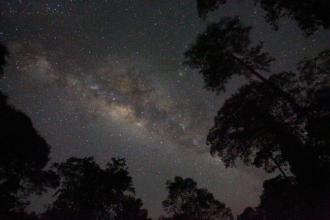 Evening Rainforest & Glow Worm Experience - Small Group Tour - Common questions