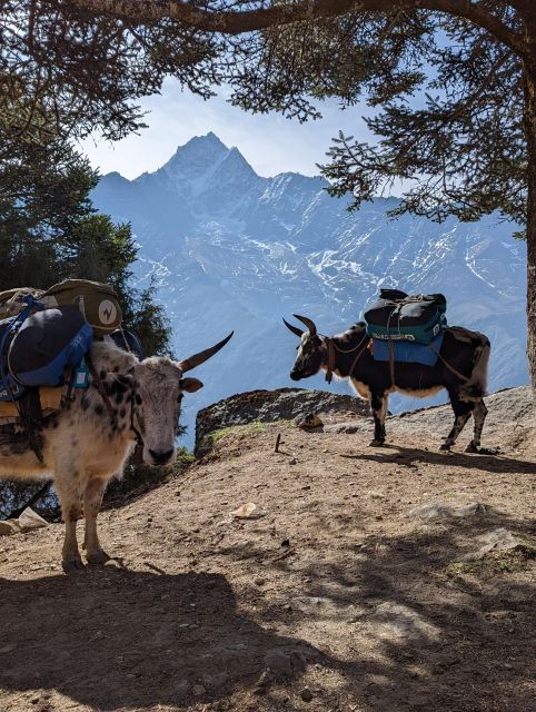 Everest Base Camp Trek - Nepal - Return and Departure Logistics