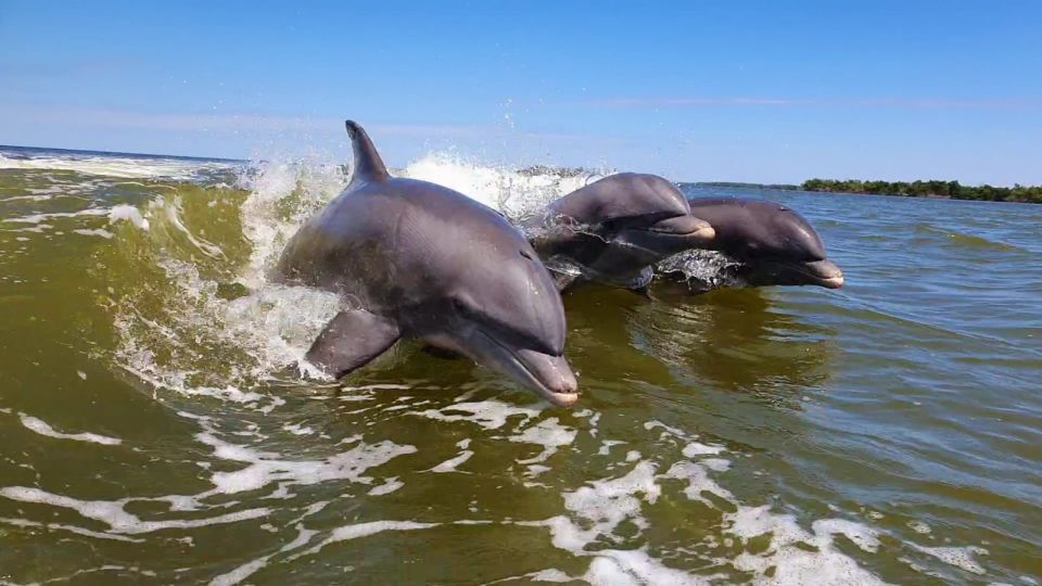 Everglades National Park: Motorboat Eco Tour - Common questions