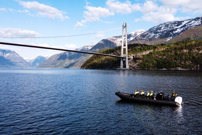 Exclusive & Private Hardangerfjord RIB Safari Tour From Ulvik - Contact and Support