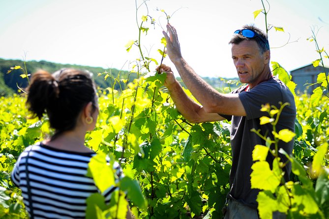Excursion to the Champagne Region and Wine Tasting - Viator Booking Information