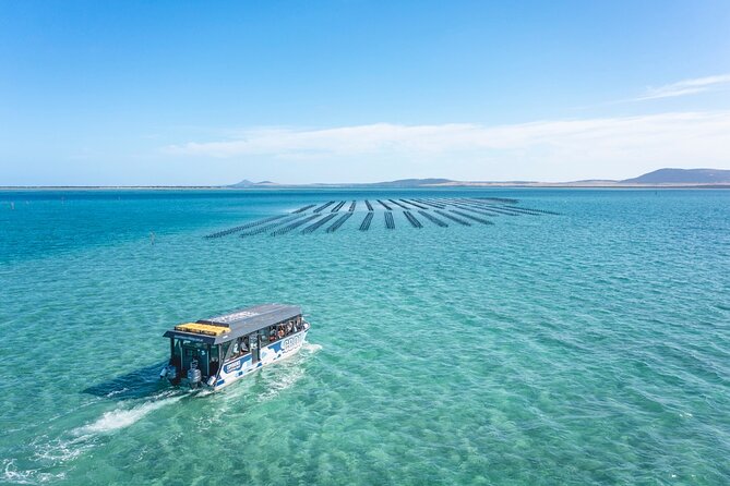 Experience Coffin Bay Oyster Farm and Bay Tour - Pricing Details
