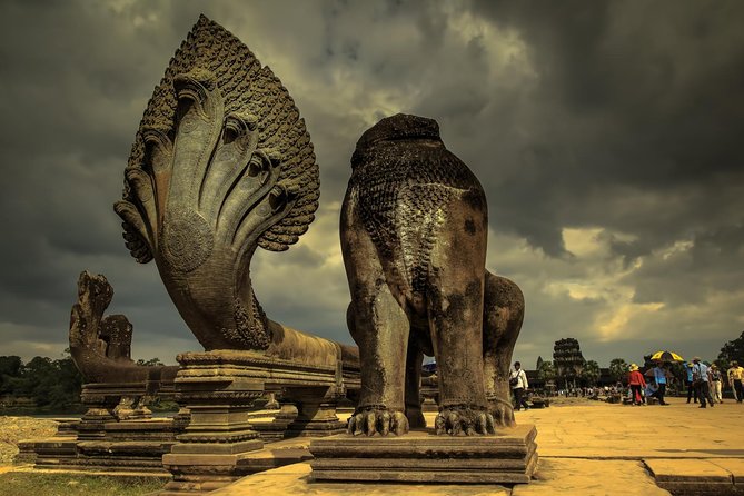 Explore Angkor Wat Temple , Bayon Temple and Jungle Temple Ta-Prohm - Jungle Temple Exploration