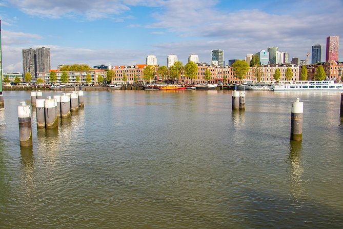 Explore the Instaworthy Spots of Rotterdam With a Local - Capture Rotterdams Best Spots
