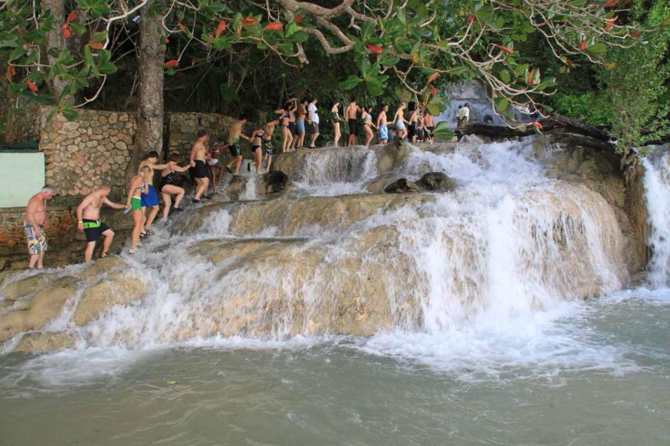 Falmouth: Dunn's River Falls & Bamboo Beach Club VIP Access - Booking Details