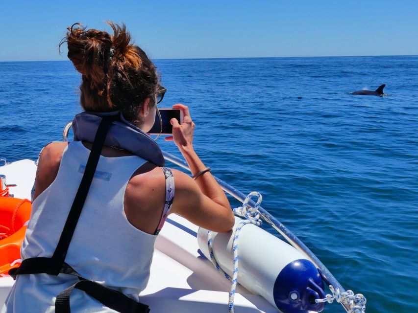 Faro: Dolphin and Wildlife Watching in the Atlantic Ocean - Tour Guidelines