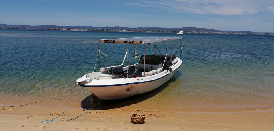 Faro: Eco-Friendly Ria Formosa Bird Watching in Solar Boat - Common questions