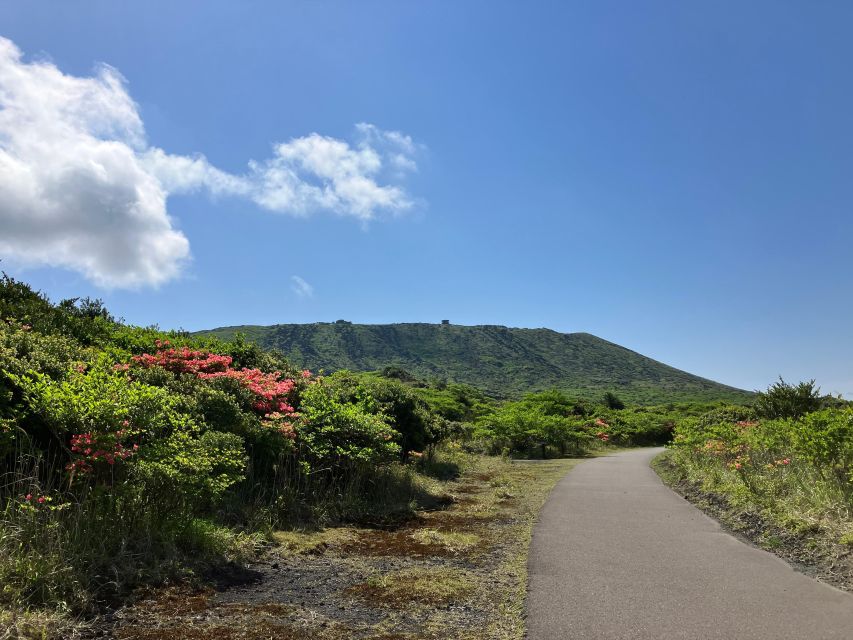 Feel the Volcano by Trekking at Mt.Mihara - Additional Services