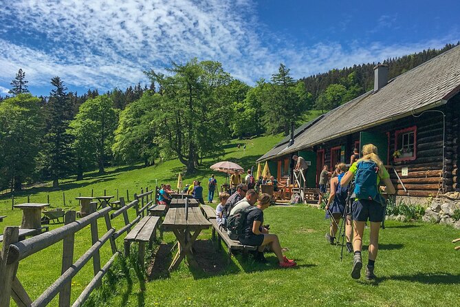 Feels Like Sound of Music - Wildlife and Beauty of Gutensteiner Alps