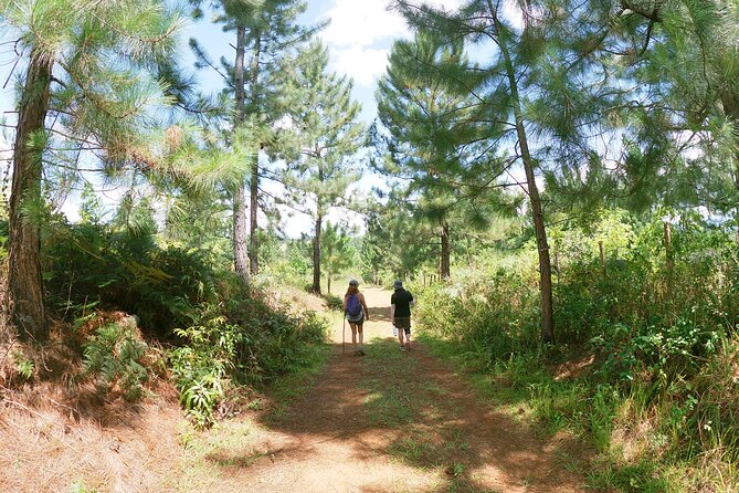 Fiji Private Hiking Tour (Mar ) - Scenic Highlights and Photo Opportunities