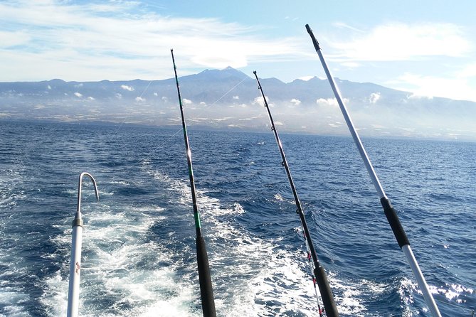Fishing Trip, Tenerife Sea Passion - Meeting Point Details