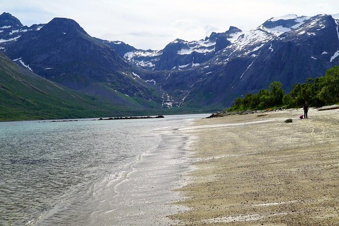 Fjord Sightseeing - Eco Friendly Tesla Model X - Eco-Friendly Tesla Model X Features