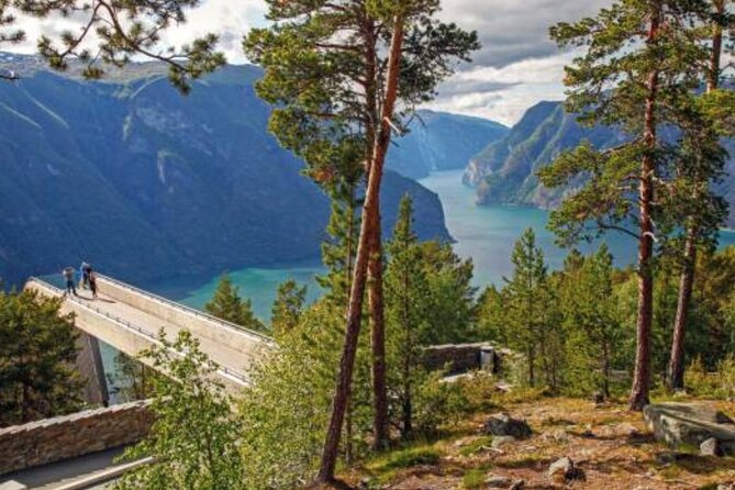 Flam: The Spectacular Stegastein Viewpoint Tour (Small Group) - Pricing Information