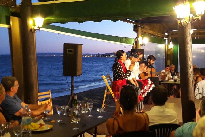 Flamenco Show and BBQ Dinner by the Sea  - Marbella - Support and Assistance