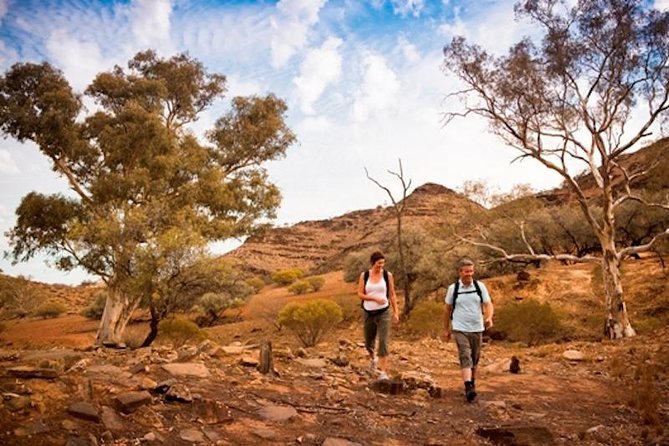 Flinders Ranges 3-Day Small Group 4WD Eco Tour From Adelaide - Common questions
