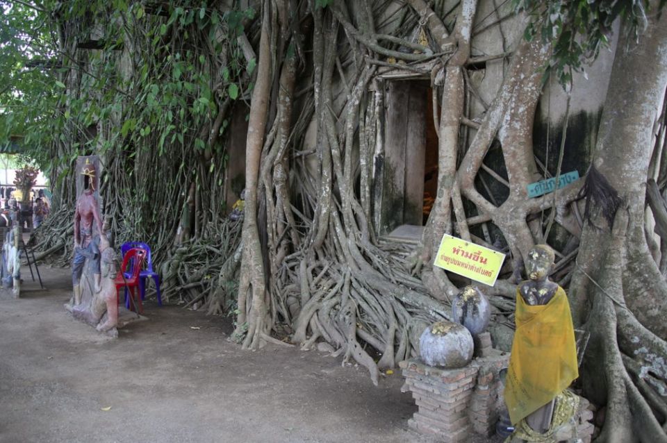 Floating Market Full-Day Bicycle Tour From Bangkok - Customer Reviews