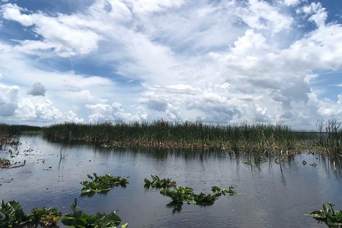 Florida Everglades Airboat Tour and Wild Florida Admission With Optional Lunch - Common questions