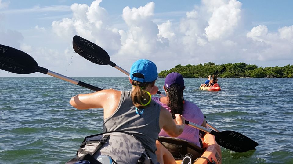 Florida Keys: Full-Day Kayak and Snorkel Reef Adventure - Last Words