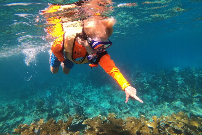 Florida Keys Snorkeling Adventure (Mar ) - Common questions