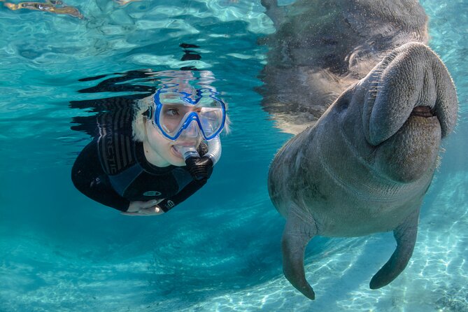 Florida Manatees, Nature Park, and Airboat Tour From Orlando (Mar ) - The Wrap Up