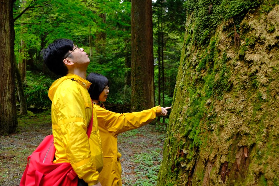 Fm Odawara: Forest Bathing and Onsen With Healing Power - Booking and Payment Process