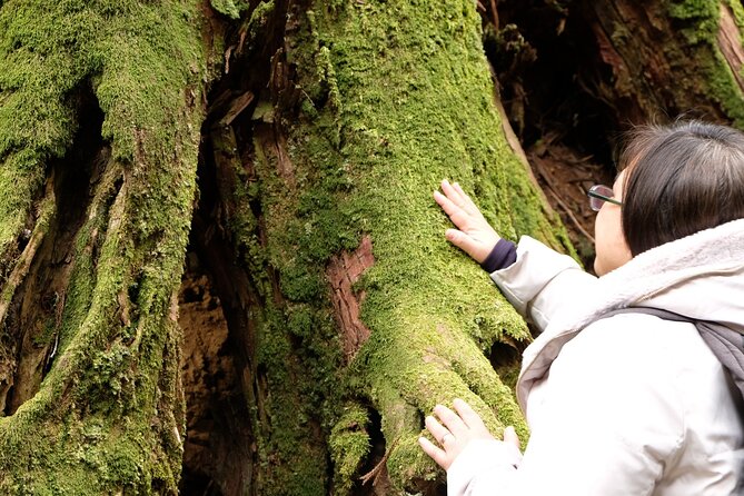 Forest Bathing in Temple and Enjoy Onsen With Healing Power - Last Words