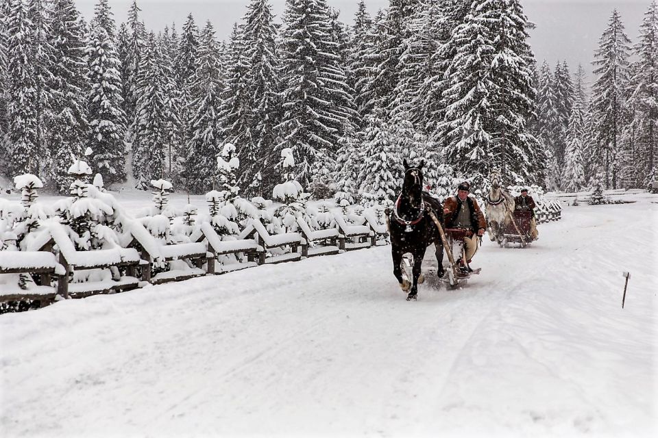 Fram Kraków; Tatra Mountain Sleigh Ride in Zakopane - Insider Tips for Chochołowska Valley