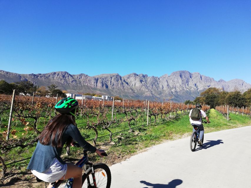 Franschhoek: Private E-bike Ride & Wine Experience - Customer Testimonials and Reviews